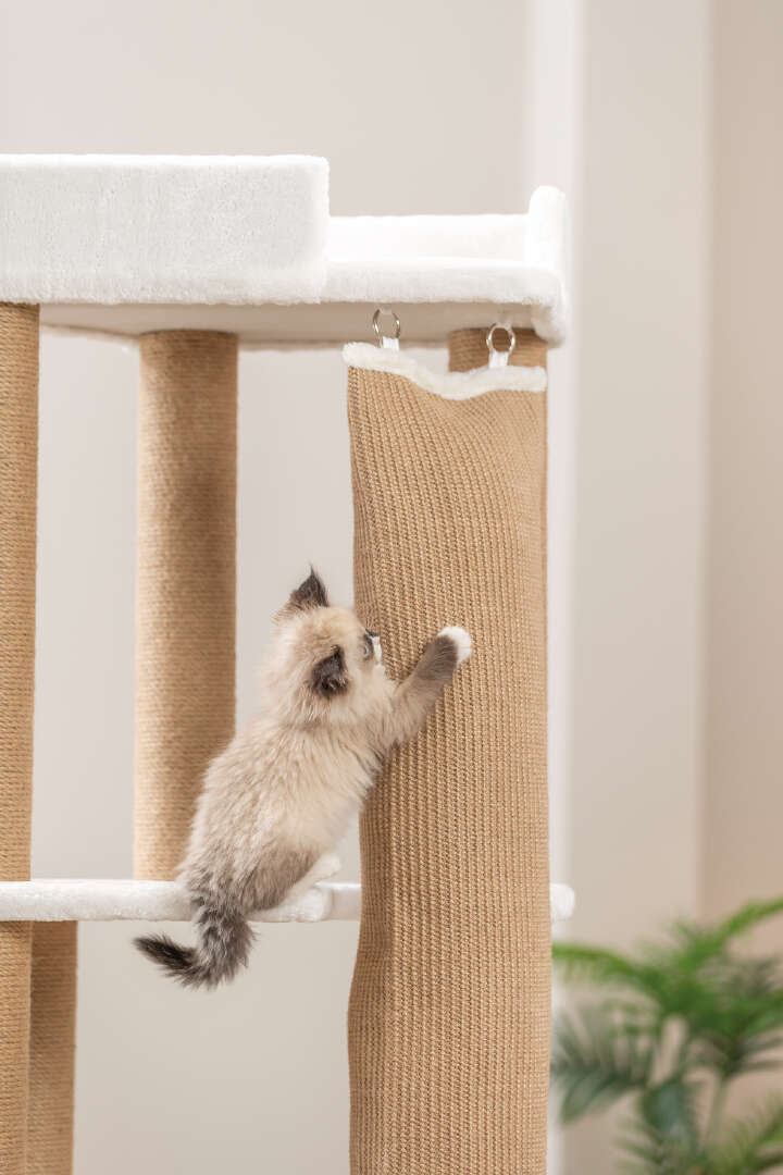 TRIXIE Kratzbaum Active